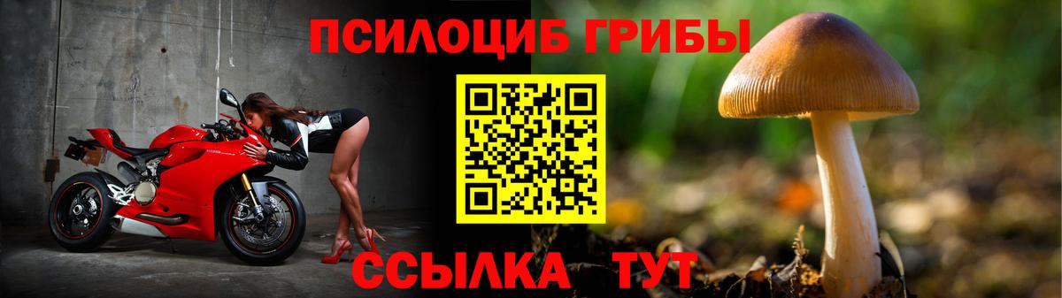 Галлюциногенные грибы Magic Shrooms  Вход с VPN  Междуреченск  Псилоцибиновые грибы Cubensis 